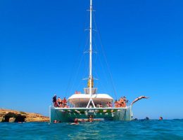 הפלגות בלימסול