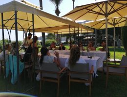 טיולי נשים בקפריסין - טיולי נשים פאפוס ולימסול