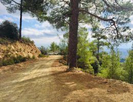 הרי הטרודוס קפריסין