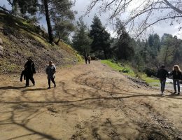 טיולי גיפים בקפריסין