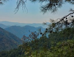 טיול להרי הטרודוס