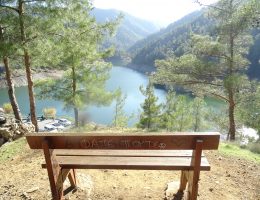 טיולים פרטיים בקפריסין