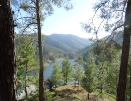 טיולים פרטיים בקפריסין