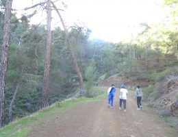 טיולים פרטיים - קפריסין