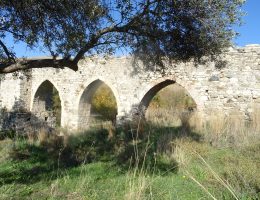 טיולים בקפריסין