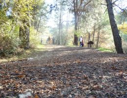 טיולי שטח וטבע בקפריסין