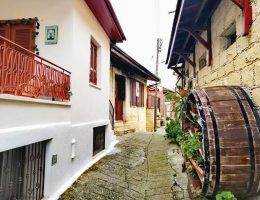 טיולים בקפריסין