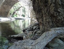 טיולים בקפריסין