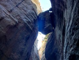 טיולי ג'יפים בקפריסין