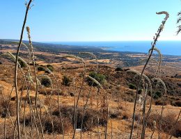 טיולים בקפריסין