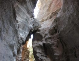 פאפוס - טיול באזור אקאמאס