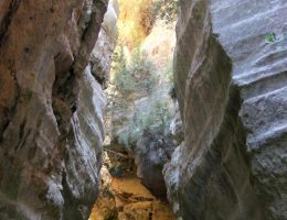 טיולים בקפריסין