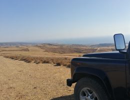 ג'יפים קפריסין