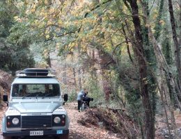  פאפוס - טיולי ג'יפים לאזורי טבע