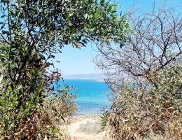 טיולי ג'יפים בקפריסין - צפון מערב - אקאמאס