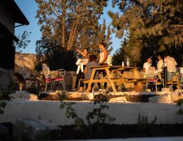 נופש חברה וגיבוש עובדים בקפריסין - סדנאות WELLNESS