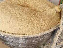 סיורים קולינריים בפאפוס