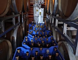 יקבים בסיור קולינרי בפאפוס